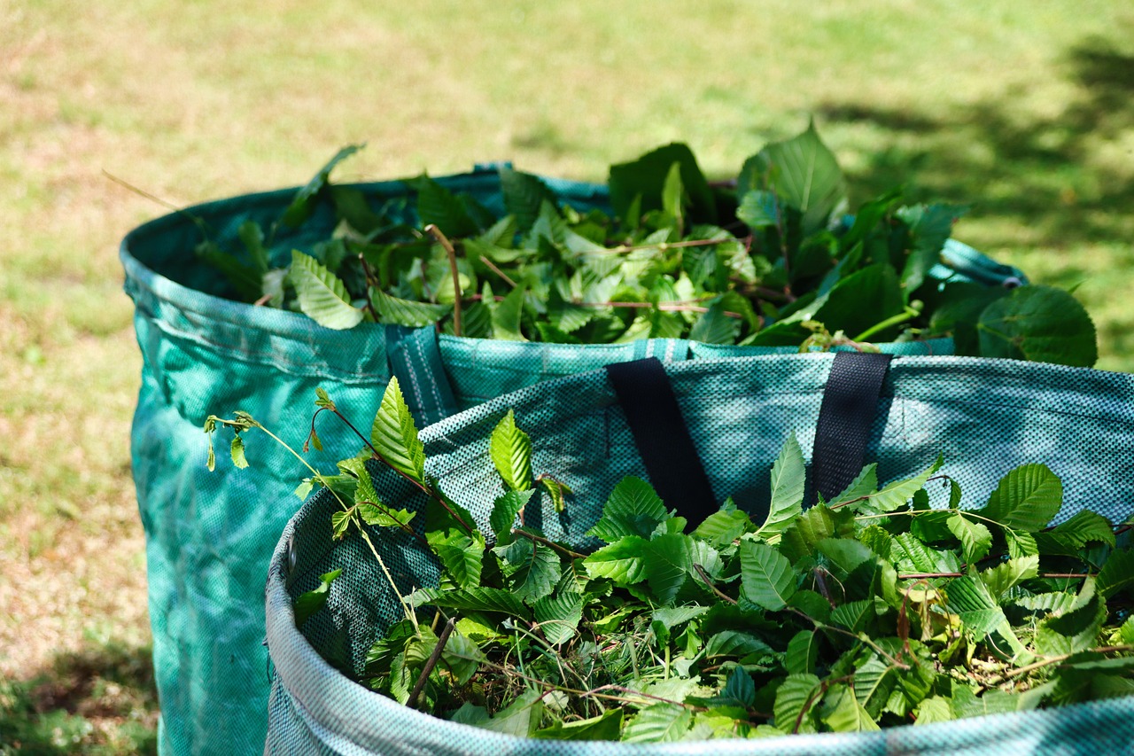 Jak zvládnout kompostování: Kompletní průvodce pro zahradníky