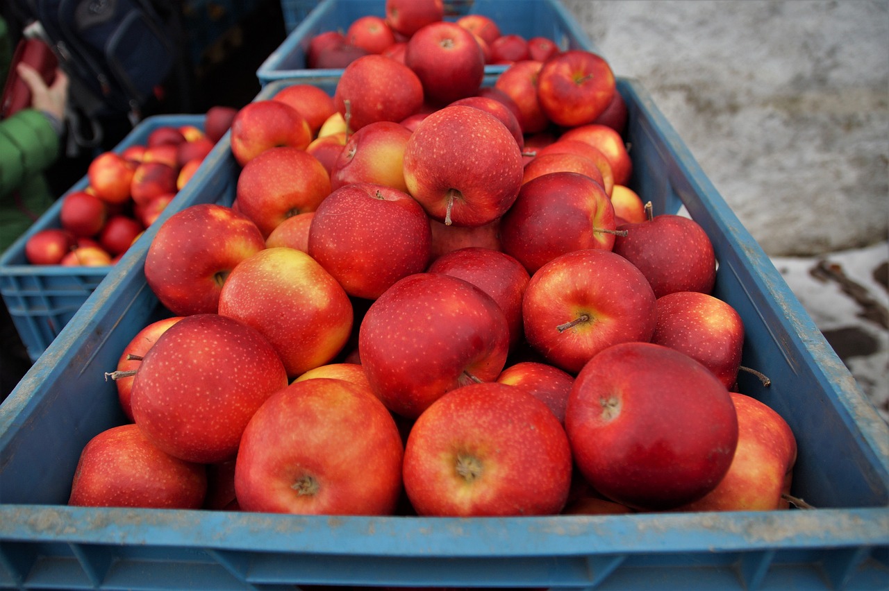 Skladování ovoce: vyhněte se běžným chorobám, které ničí vaši úrodu