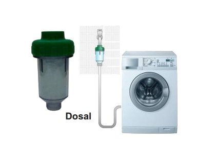 dosal