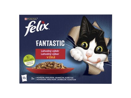 976430 felix fantastic kapsicky pro kocky 12x85g