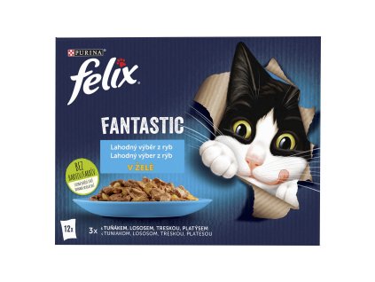 976431 felix fantastic kapsicky pro kocky 12x85g