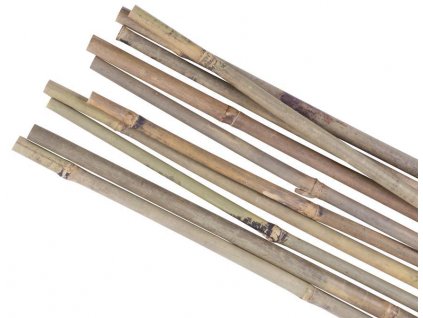 Tyč bambusová 900/8-10mm, opěrná Garden KBT, 10ks