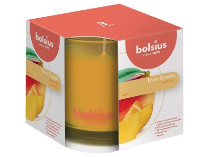 Svíčka bolsius Jar True Scents 95/95 mm, mango