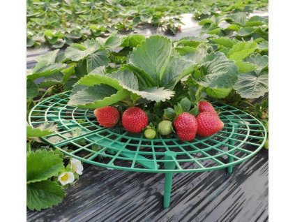 407d41e79f3aef261a678c0e7dcbca27