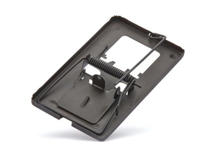 0808f4c02a1ee9e79b175cee97d5cef1