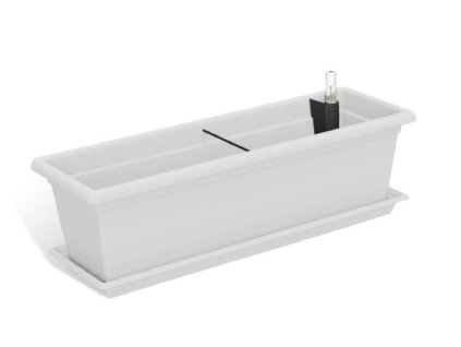 Magnolie%2040%20b%C3%ADl%C3%A1