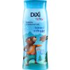Dixi Sviště šampon a sprchový gel pro kluky, 250 ml