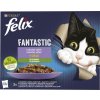 976432 felix fantastic kapsicky pro kocky mix druhu 12x85g
