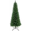 Stromeček MagicHome Vánoce Adam, jedle 180 cm