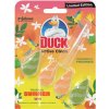 Duck Active Clean Tropical Summer WC blok 38,6 g