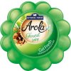 Arola osvěžovač Gel Fresh les, 150 g