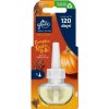 729149 glade pumpkin