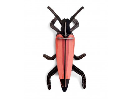 longhorn beetle 2