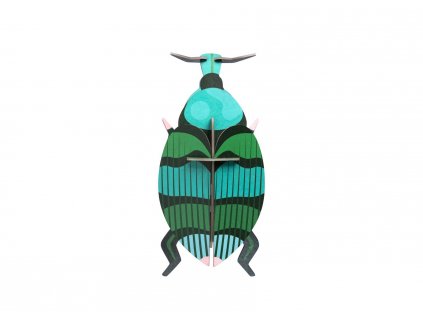 weevil beetle 5