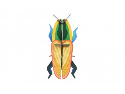 madagascar beetle 3