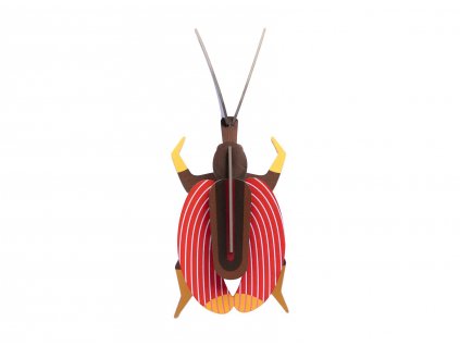 violin beetle 6