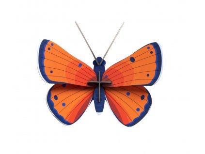 copper butterfly 6