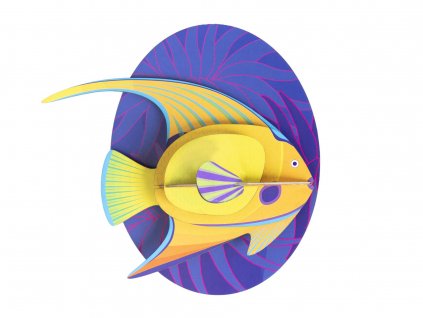 yellow angelfish 6