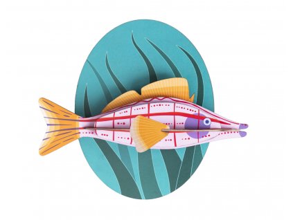 longnose hawkfish 2