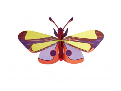 TTM145 Purple Eyed Butterfly 02