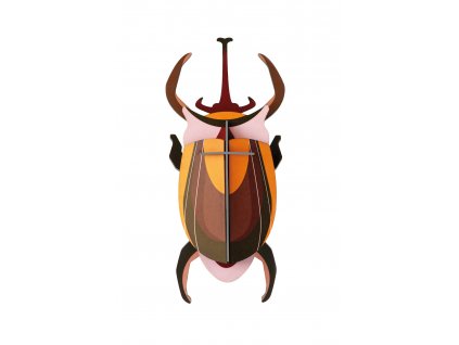 IMA77 Elephant Beetle 03