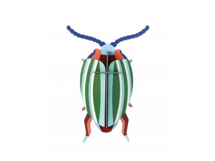 IMA76 Rainbow Leaf Beetle 04