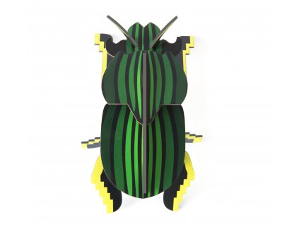 scarab beetle 2