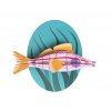 longnose hawkfish 2