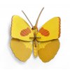 Yellow Butterfly 1