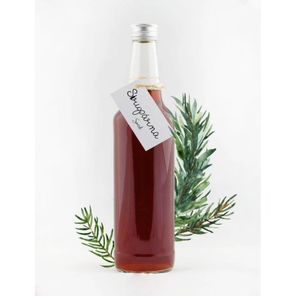 Snímek obrazovky 2025 06 10 v 11.43.52