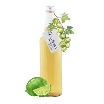 Snímek obrazovky 2025 06 10 v 11.29.42