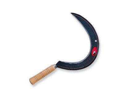 kosak