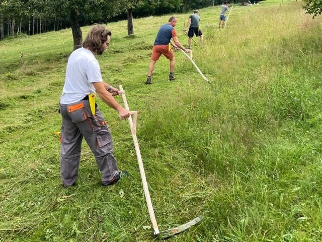 Why hand-mow with a scythe?