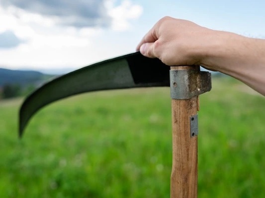 Parts of a scythe