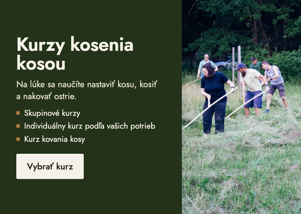 Kurzy kosenia kosou