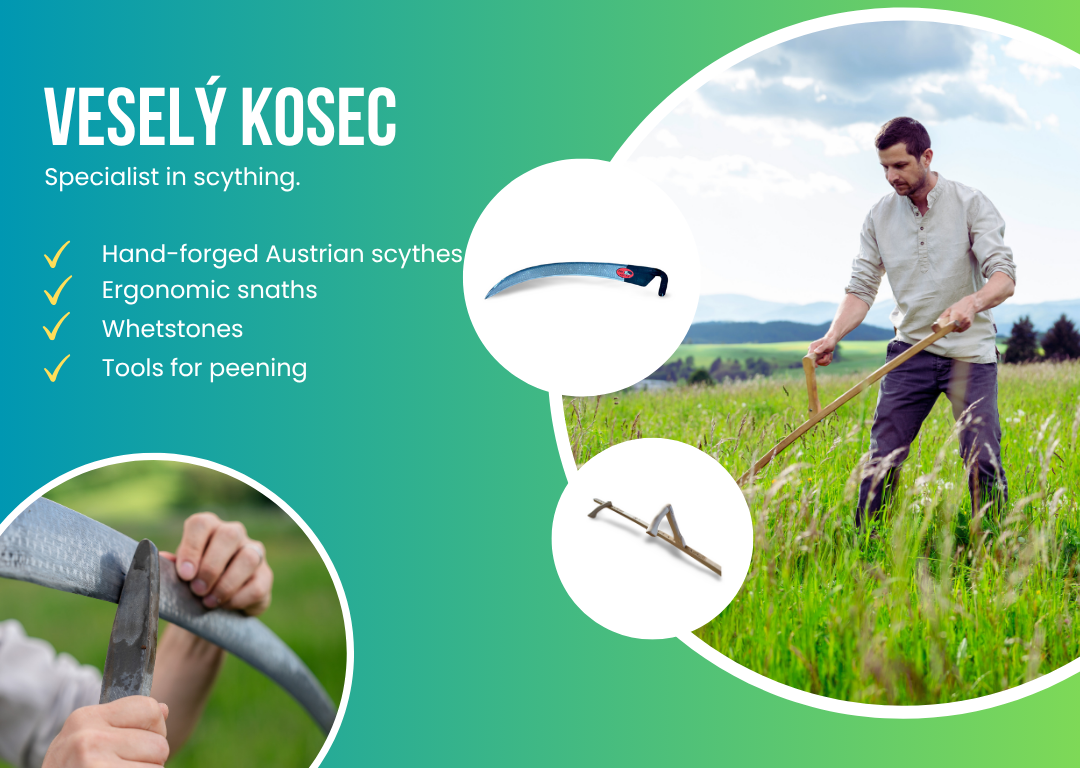Mowing grass with a scythe