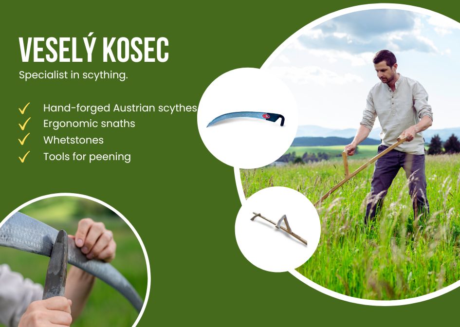 Mowing grass with a scythe