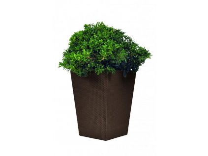 KETER Květináč Rattan Planter L Brown