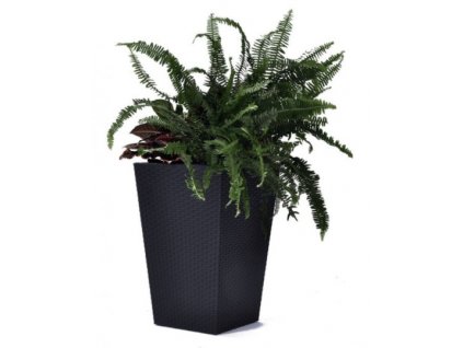 KETER Květináč Rattan Planter S Anthracite