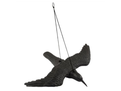 Plašič ptáků - havran letící