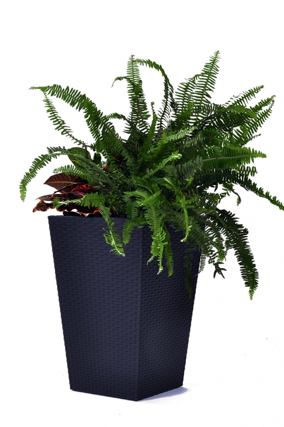 KETER Květináč Rattan Planter M Dark grey