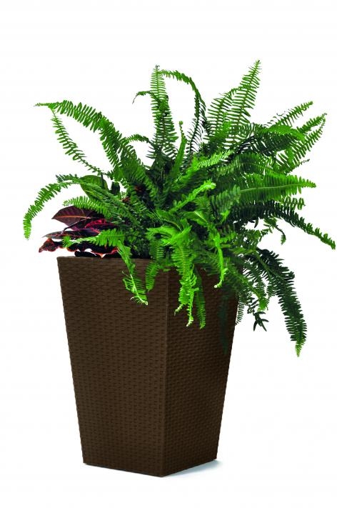 KETER Květináč Rattan Planter S Brown