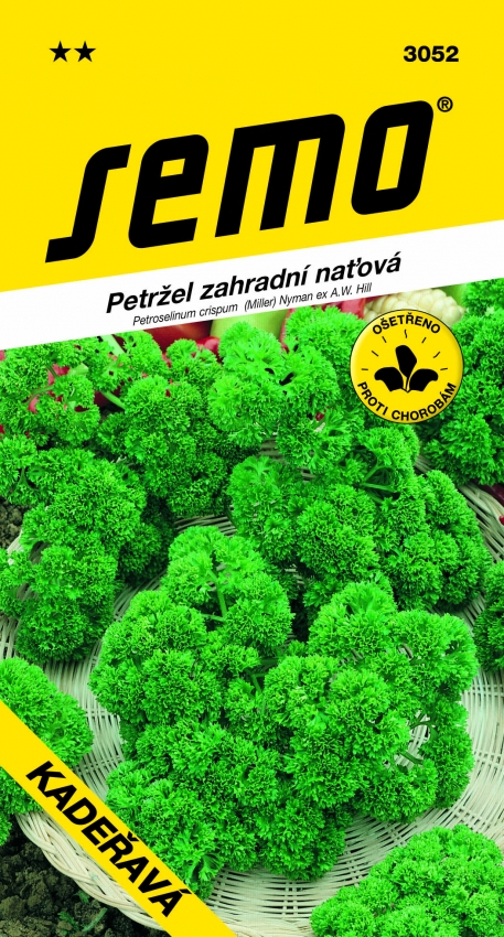 Petržel naťová - Kadeřavá 4g