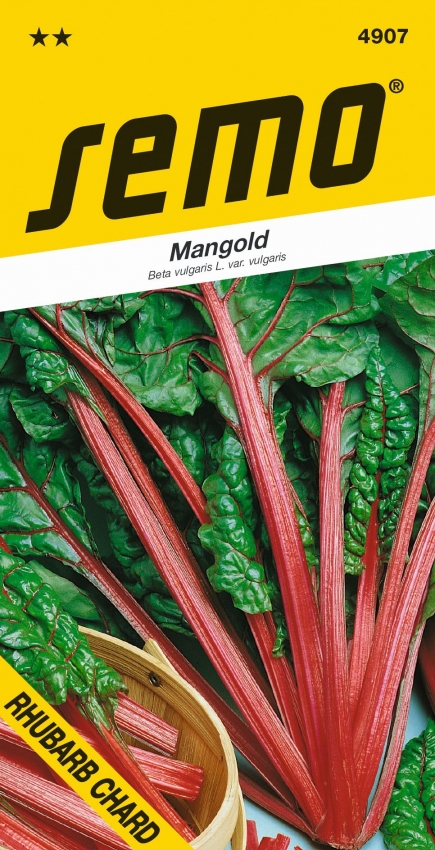 Mangold - Rhubard Chard zelený 3g