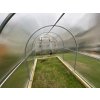 Zahradní skleník Frux 2 - 2x6m - 6mm
