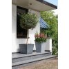 KETER Květináč Beton Square Planter Light grey