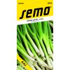Cibule sečka - Kaj zimní, celoročně pro nať 1,8g