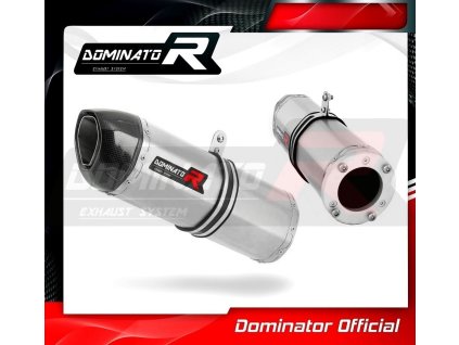 Laděný výfuk DOMINATOR Kawasaki ZX12R 00-05 KONCOVKA HP1