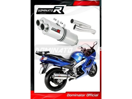 Laděný výfuk DOMINATOR Kawasaki ZZR1200 02-05 OVÁLNÉ KONCOVKY