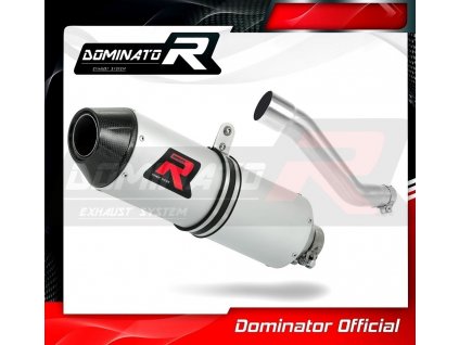 Laděný výfuk DOMINATOR YAMAHA TTR 600 99-03 OVÁLNÁ KONCOVKA MX2